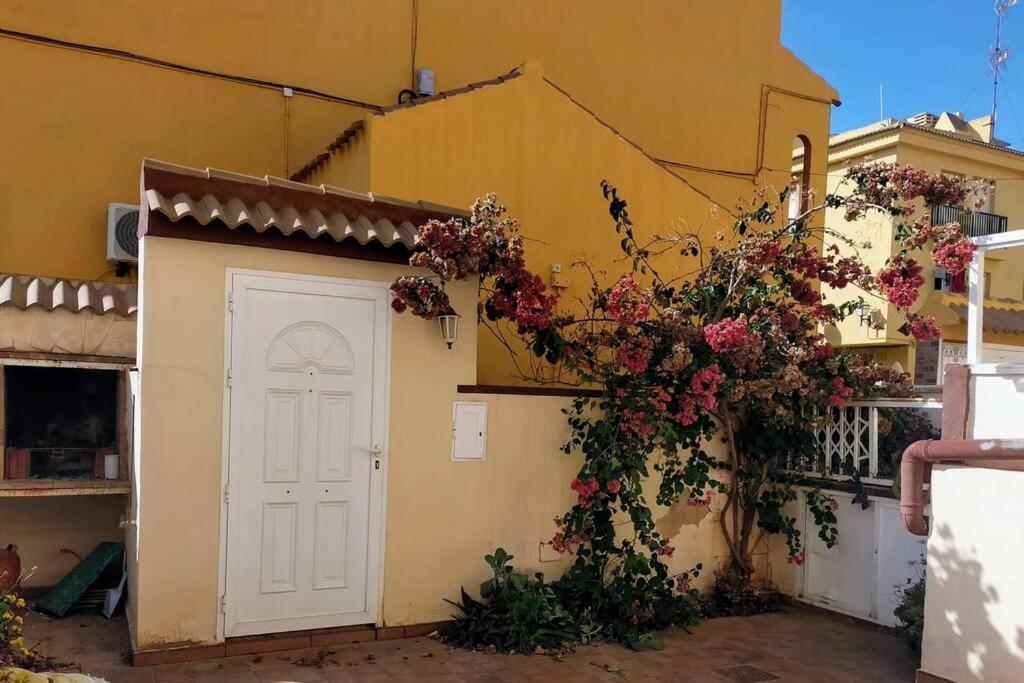 Apartamento Mar Azul Adosado, Patio Y Solarium Torrevieja Exterior foto